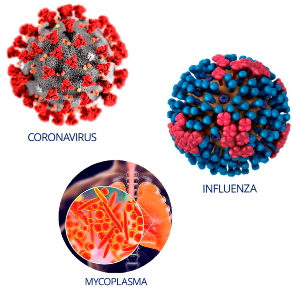 Coronavirus nCoV VS Influenza A and B VS Mycoplasma Pneumoniae