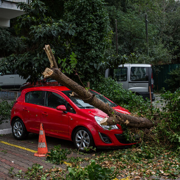 Leer artículo: Tips para proteger tu carro ante un huracán