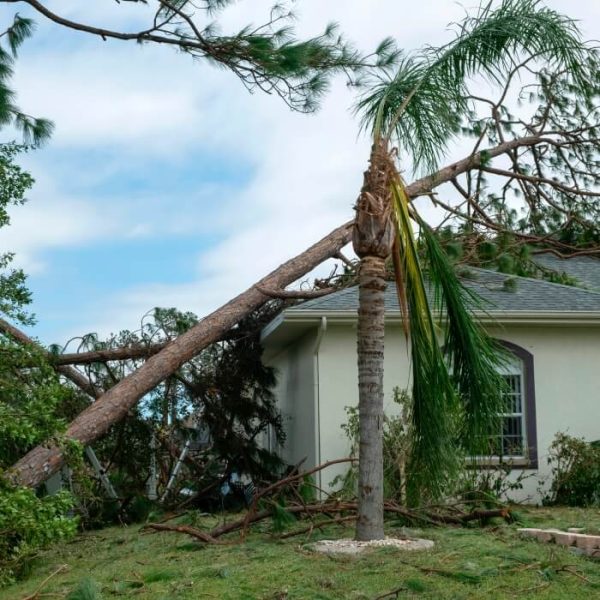 3 Steps you should take right after a hurricane