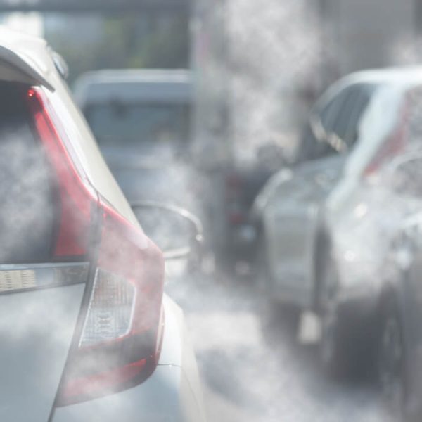 The Impact of Pollution on Our Physical and Mental Health